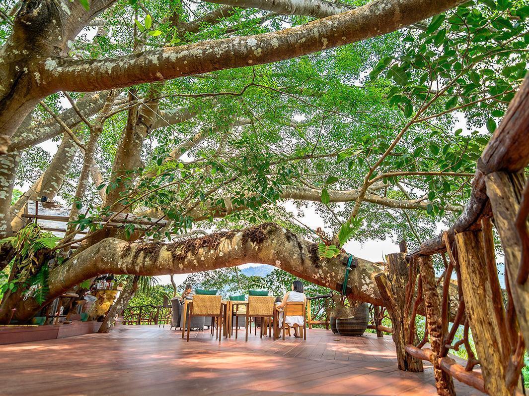 The Giant Chiangmai Чиангмай Экстерьер фото